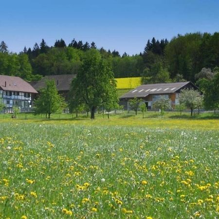 Апартаменты Pferde - Und Eselhof Gruenegg Эшенц Экстерьер фото