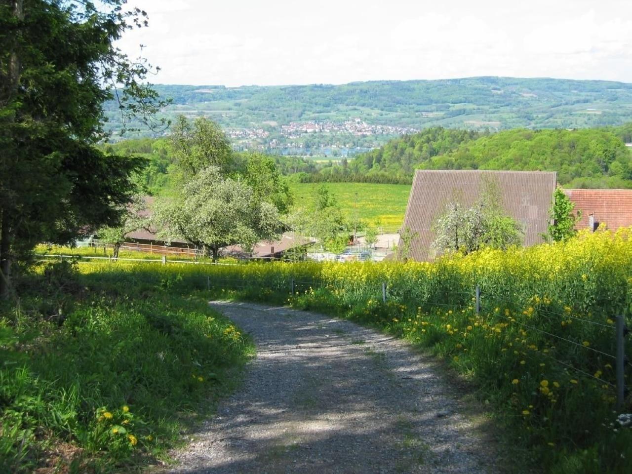 Апартаменты Pferde - Und Eselhof Gruenegg Эшенц Экстерьер фото