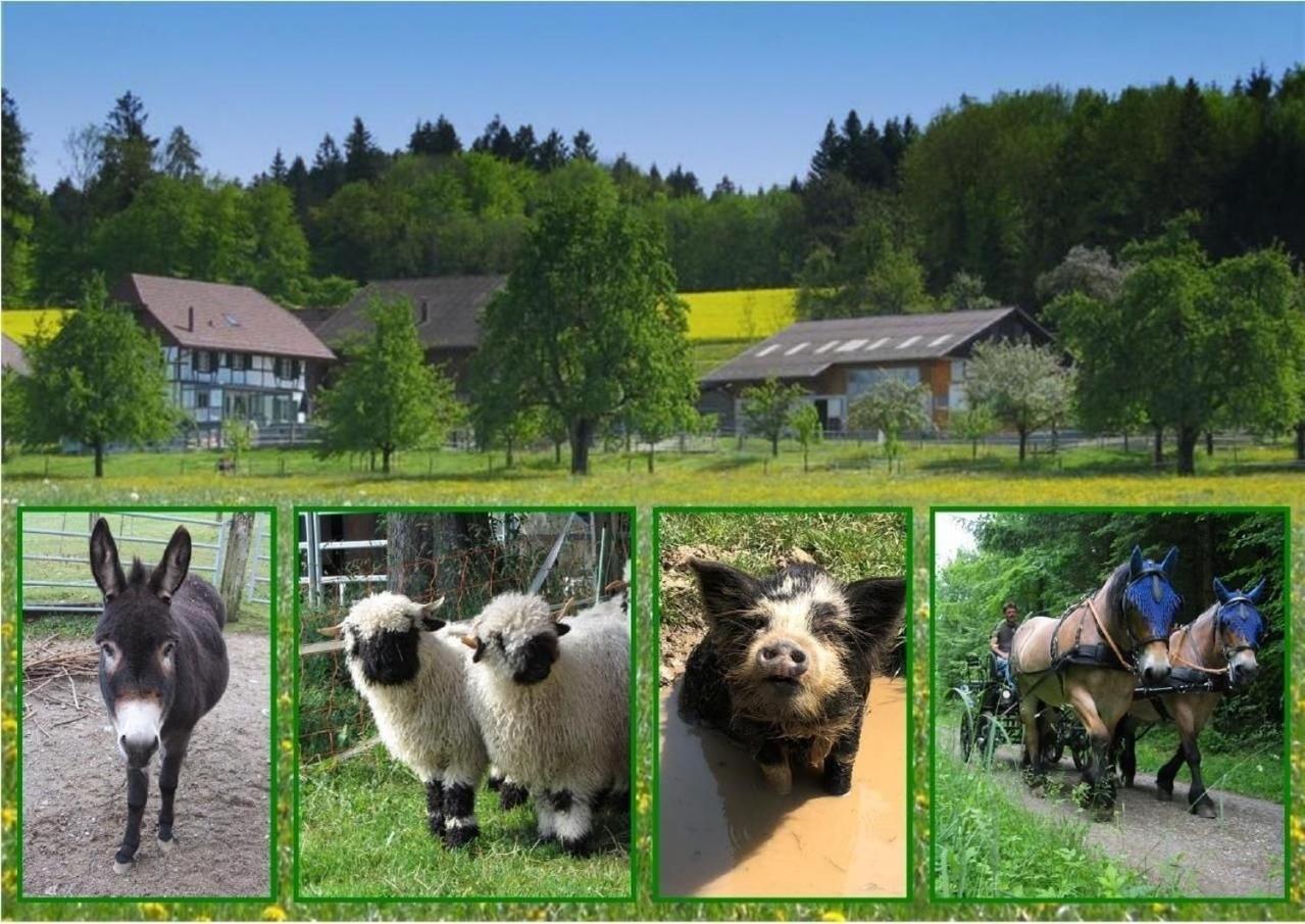 Апартаменты Pferde - Und Eselhof Gruenegg Эшенц Экстерьер фото
