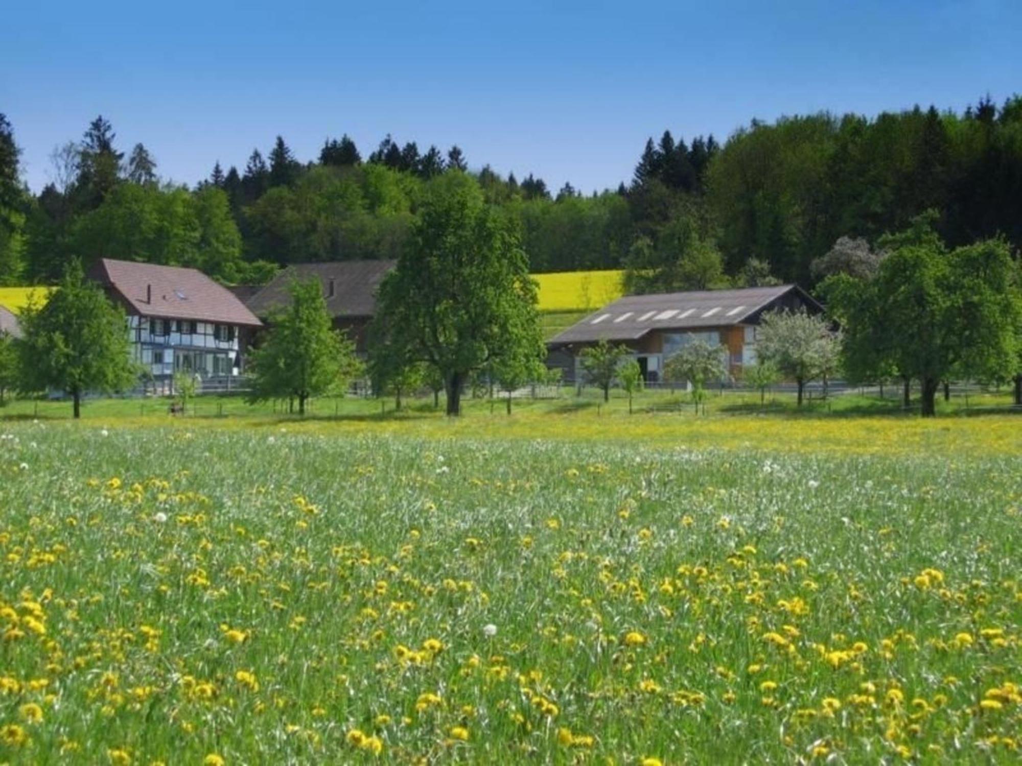 Апартаменты Pferde - Und Eselhof Gruenegg Эшенц Экстерьер фото